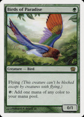 Birds of Paradise - Foil